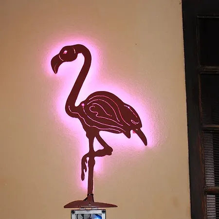 Hotel Logis Restaurant Le Flamant Rose Camargue