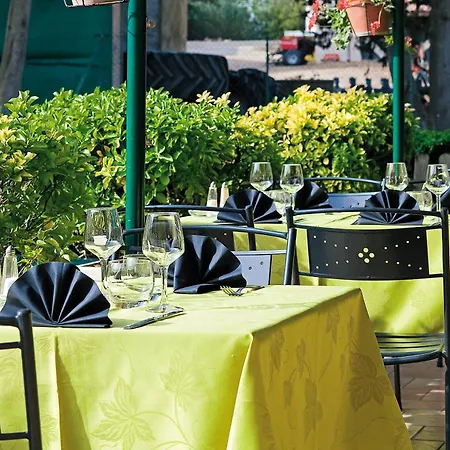 Logis Restaurant Le Flamant Rose Camargue Hotel Albaron